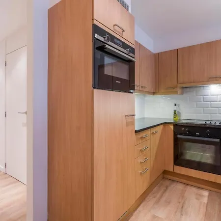 Luxe 2-slaapkamerappartement Met Terras In Appartement *